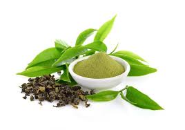 Green tea extract