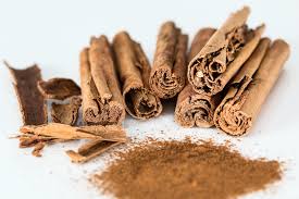 Cinnamomum verum